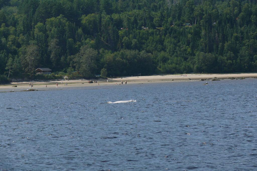 Вилла Riviere Petit Saguenay Экстерьер фото