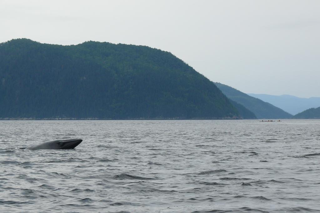 Вилла Riviere Petit Saguenay Экстерьер фото